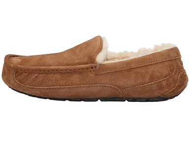 UGG Ascot Slippers for Men