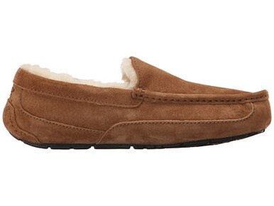 UGG Ascot Slippers for Men