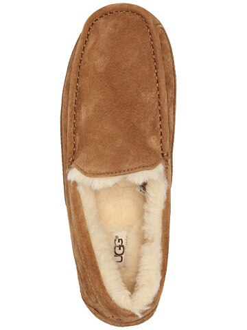 UGG Ascot Slippers for Men