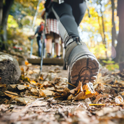 Image showing a group hiking along a leaf-covered trail